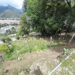 Vista 5