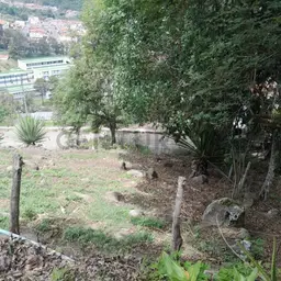 Vista 7