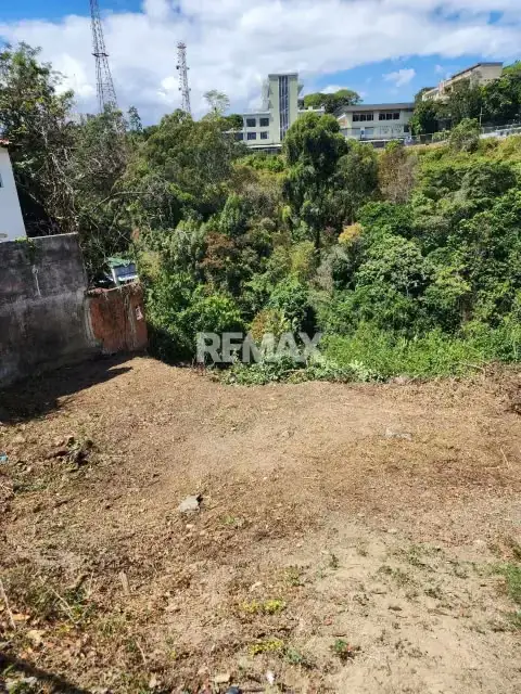 TERRENO RESIDENCIAL EN LAS PALMAS DE 1232m2