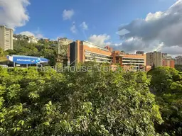 Vista 19