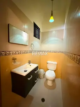 Vista 19