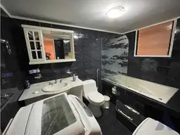 Vista 27