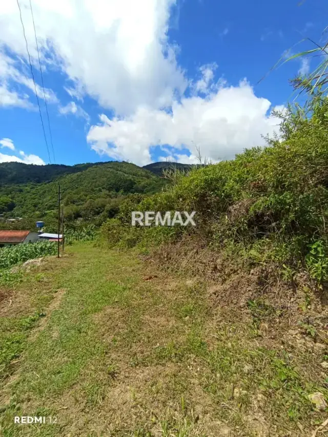 Venta de Terreno Ubicado en el Sector la Blanca, aldea Toituna Municipio Guasimos, Táchira-Venezuela
