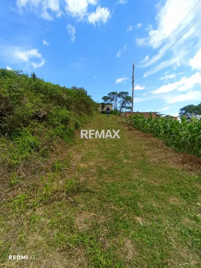 Venta de Terreno Ubicado en el Sector la Blanca, aldea Toituna Municipio Guasimos, Táchira-Venezuela - 4