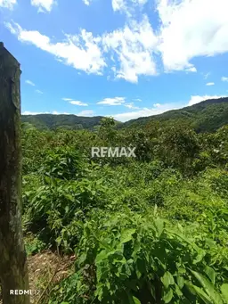 Vista 5