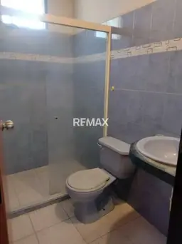 Vista 10