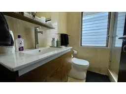 Vista 24