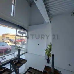 Vista 3