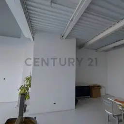 Vista 6