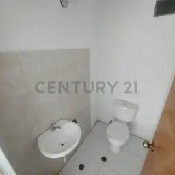 Vista 7