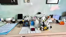 Vista 4
