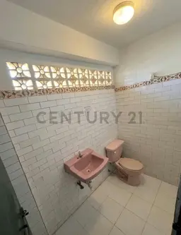 Vista 5