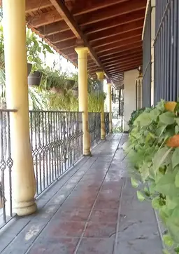 Vista 9