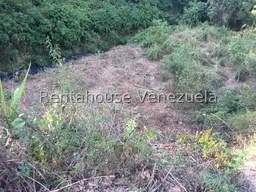 Vista 6