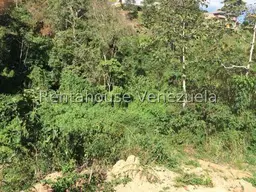 Vista 7