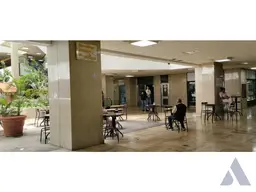 Vista 4