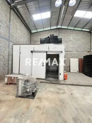 En Venta Galpón Industrial Comercial en Piñonal - 2