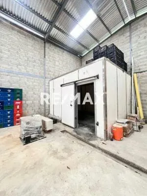 En Venta Galpón Industrial Comercial en Piñonal - 3