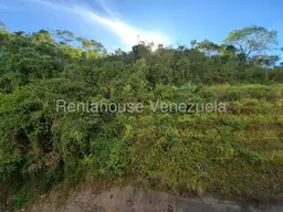 Vista 6