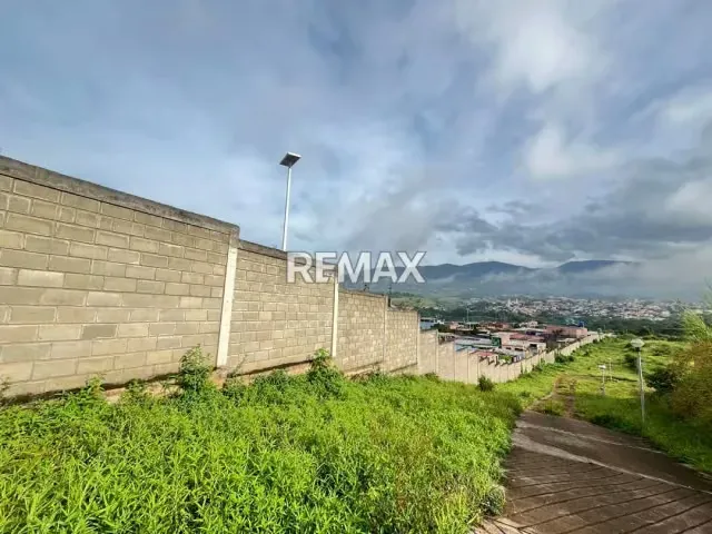 EN VENTA PARCELA EN URBANIZACION PUERTA DORADA - 6