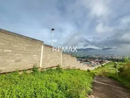 Vista 6