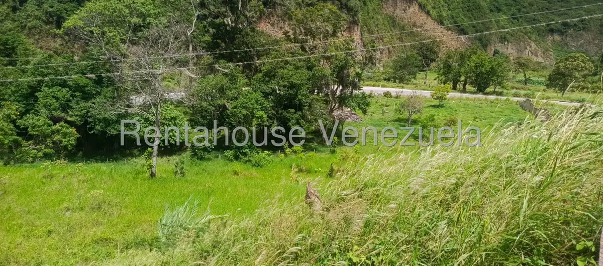 Terreno (Residencial) en Venta en La Playa, Merida - 25