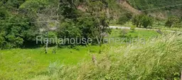 View 25