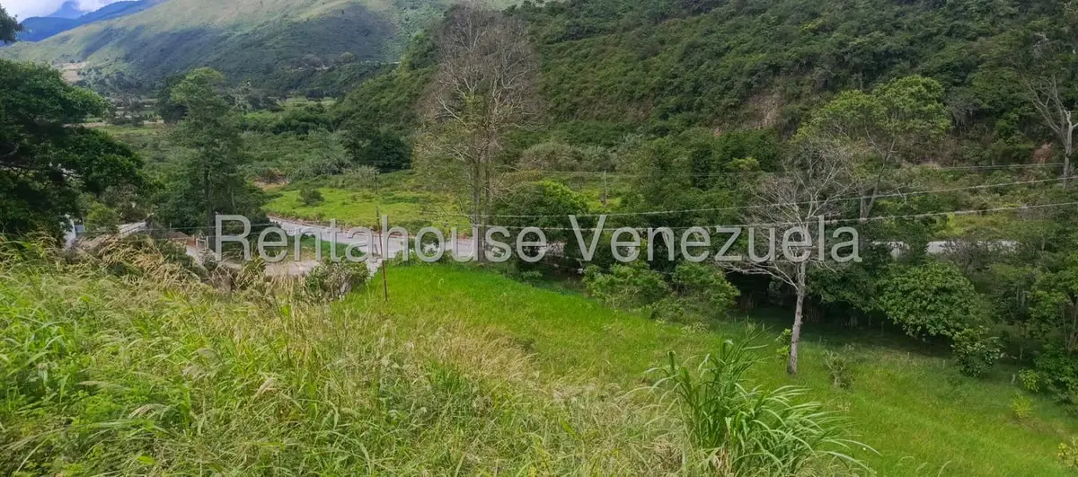 Terreno (Residencial) en Venta en La Playa, Merida - 27