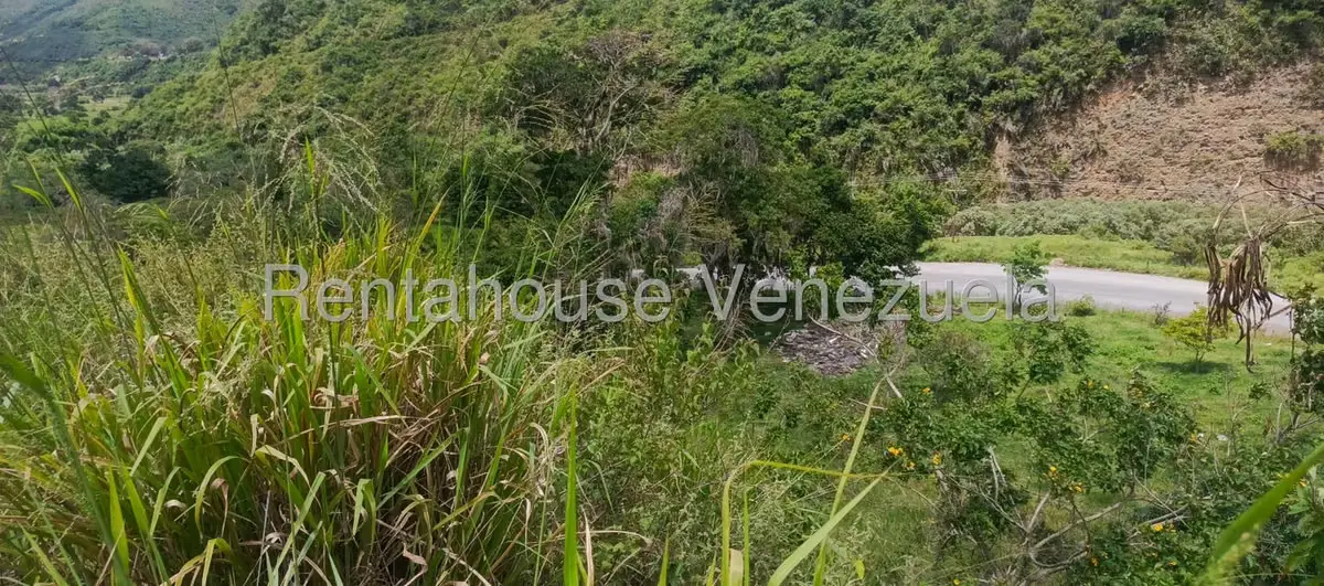 Terreno (Residencial) en Venta en La Playa, Merida - 28
