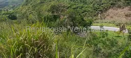 View 28