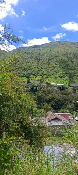 View 29