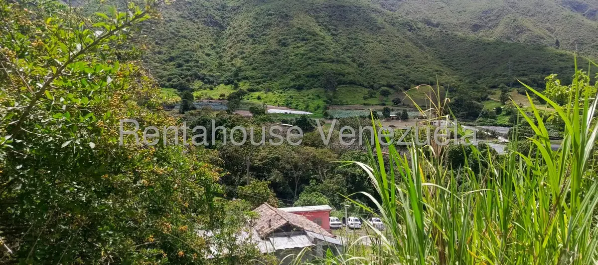 Terreno (Residencial) en Venta en La Playa, Merida - 30