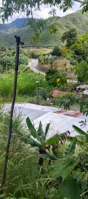 Terreno (Residencial) en Venta en La Playa, Merida - 33