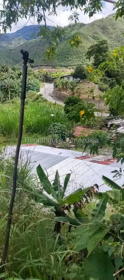 View 33