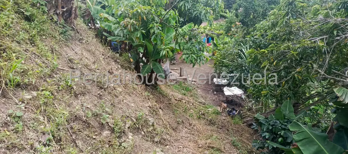 Terreno (Residencial) en Venta en La Playa, Merida - 34