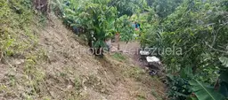 View 34