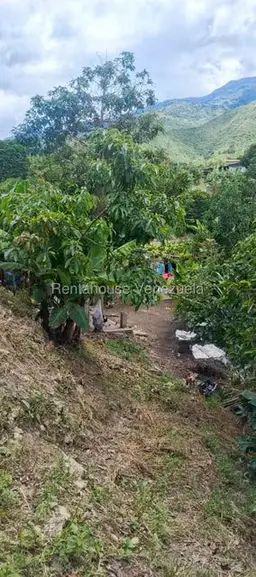 View 35