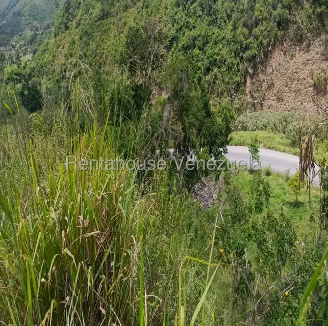 Terreno (Residencial) en Venta en La Playa, Merida - 37