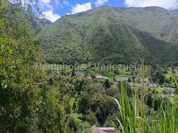 View 38