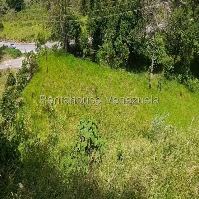 Terreno (Residencial) en Venta en La Playa, Merida - 40