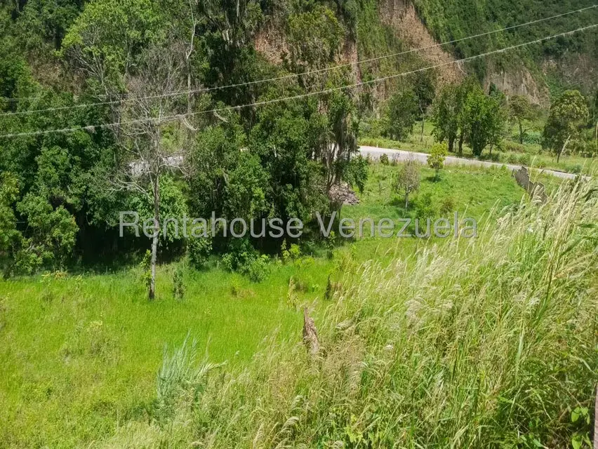 Terreno (Residencial) en Venta en La Playa, Merida - 41
