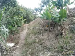 View 8