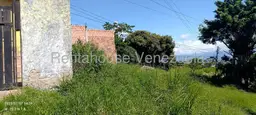View 10