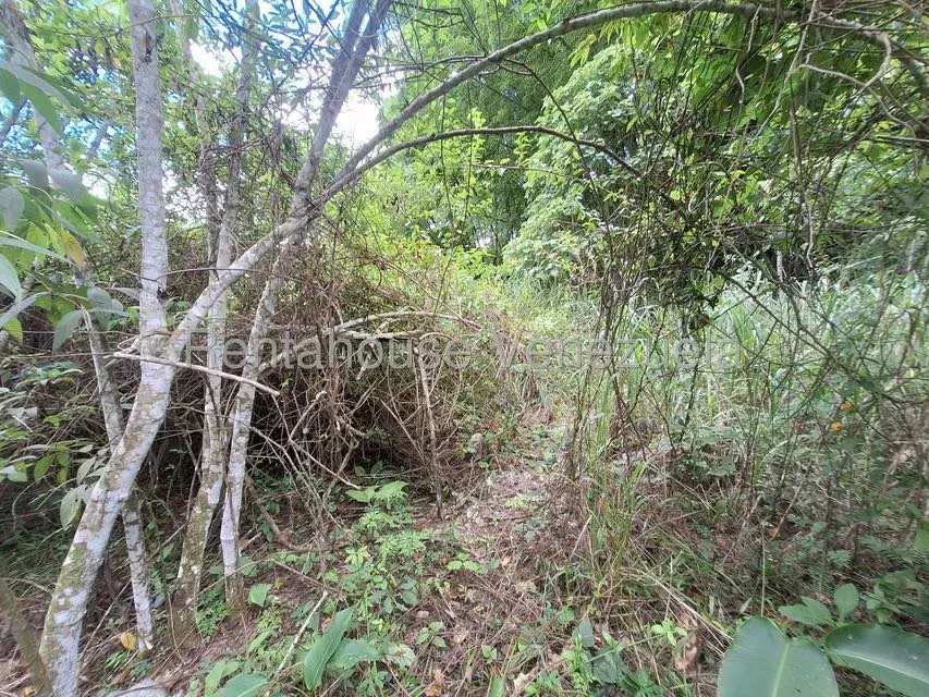 Terreno (Residencial) en Venta en Los Guayabitos, Distrito Metropolitano - 4