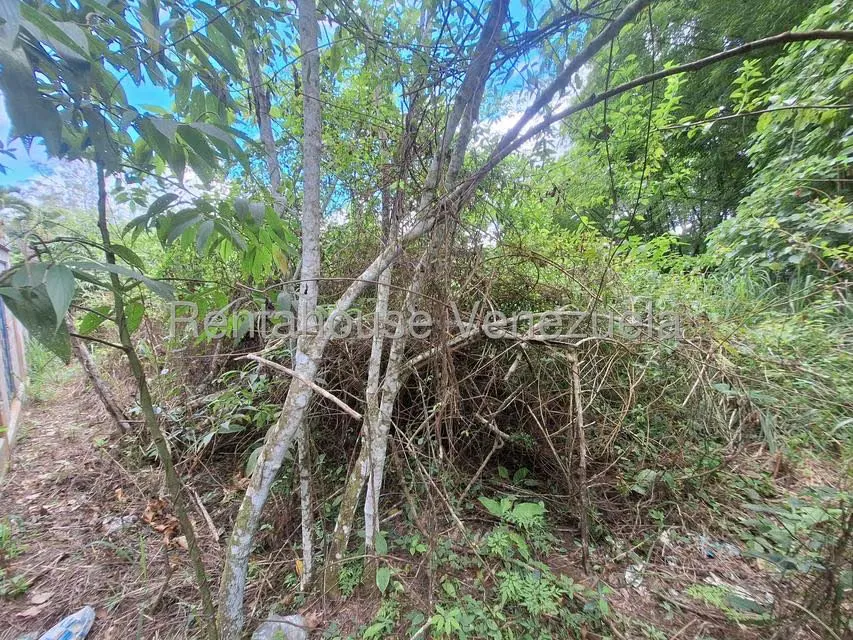 Terreno (Residencial) en Venta en Los Guayabitos, Distrito Metropolitano - 5