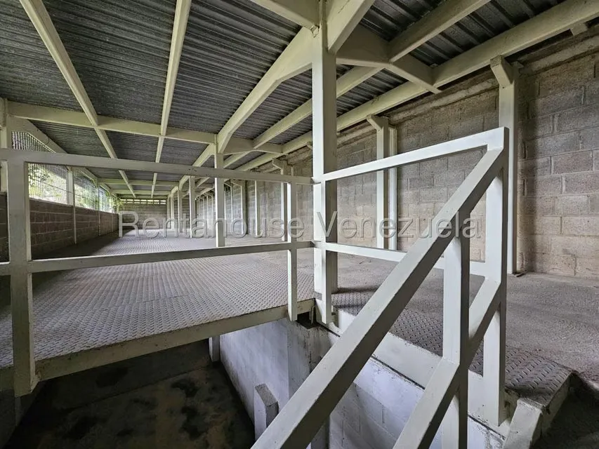 Galpon - Deposito en Venta en El Placer, Distrito Metropolitano - 20