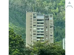 View 19