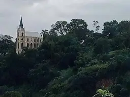 View 14