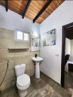 Vista 19