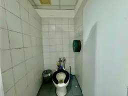 Vista 21
